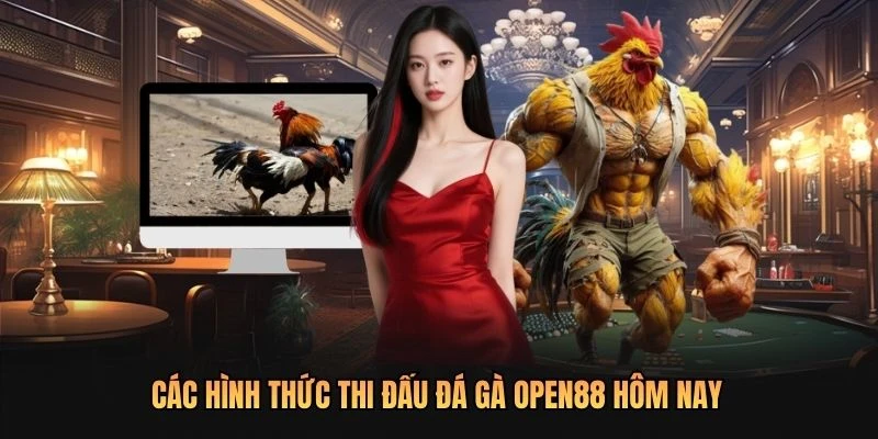 Các hình thức thi đấu đá gà OPEN88 hôm nay