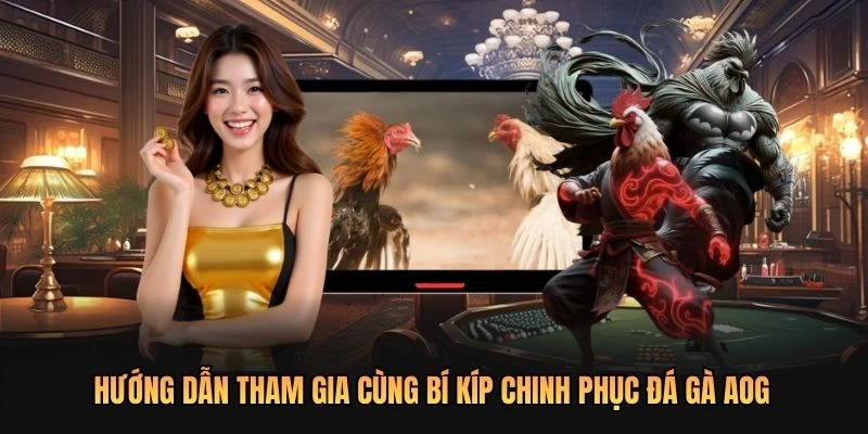 Hướng dẫn tham gia cùng bí kíp chinh phục đá gà AOG
