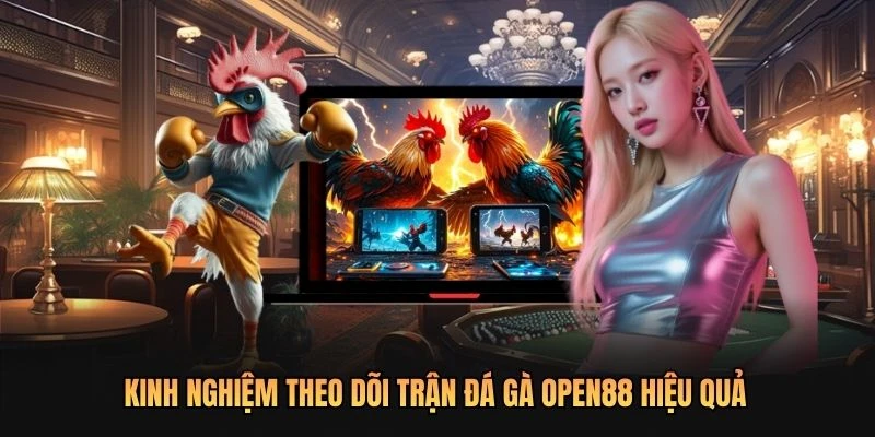 Kinh nghiệm theo dõi trận đá gà OPEN88 hiệu quả