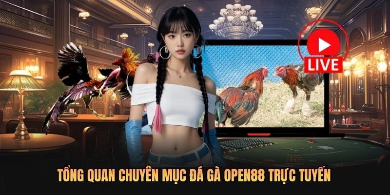 Tổng quan chuyên mục đá gà OPEN88 trực tuyến