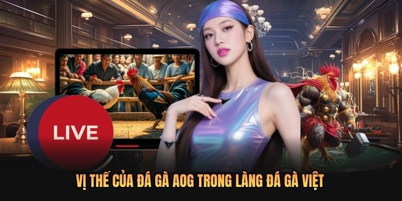 Vị thế của đá gà AOG trong làng đá gà Việt